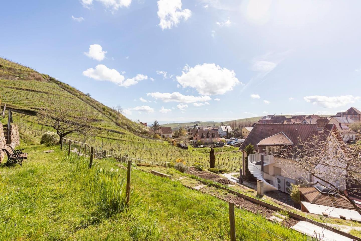 Les Glycines Du Sommerberg Niedermorschwihr Zewnętrze zdjęcie